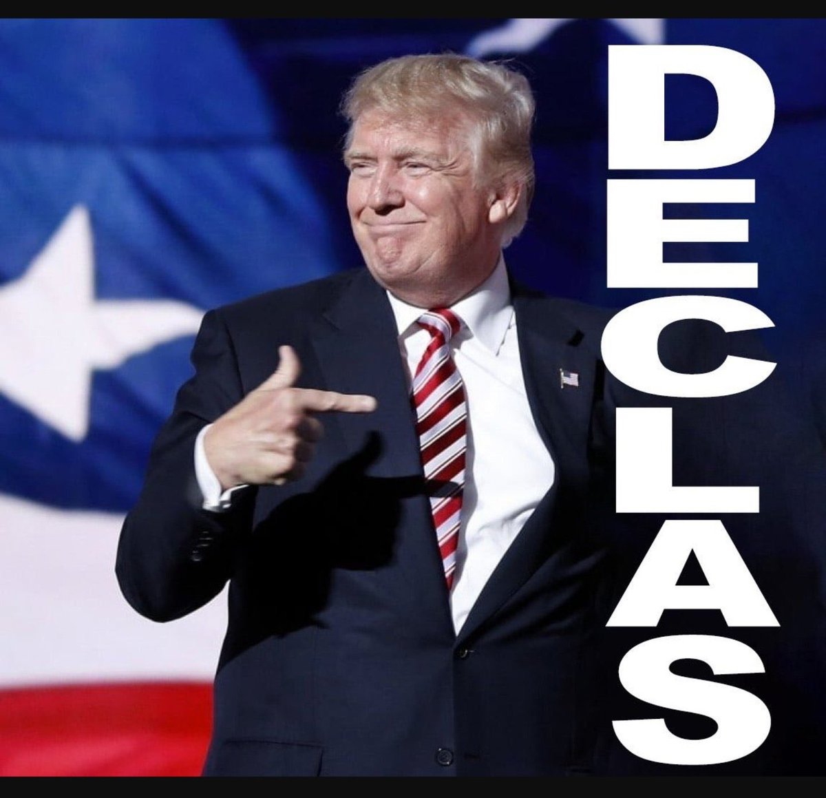 Elizabeth tweet media