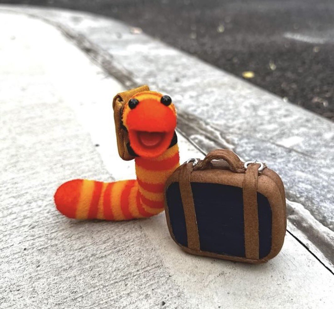 cait 🥏 tweet media