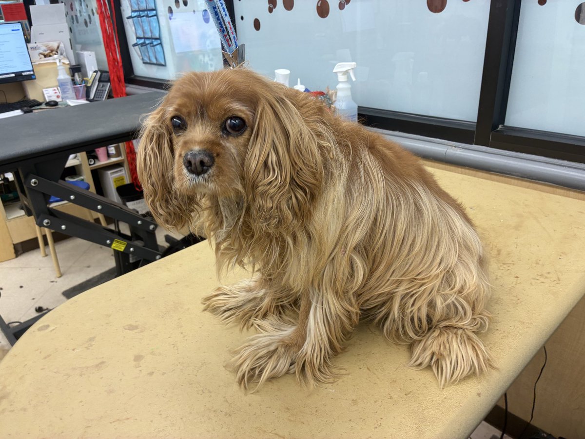 aaron 𐂂 tweet media