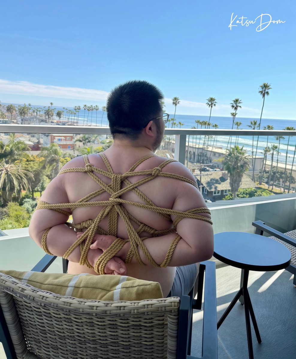 猪排饭KatsuDom tweet media