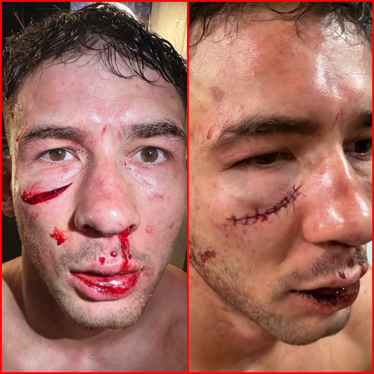 MMA Mania tweet media