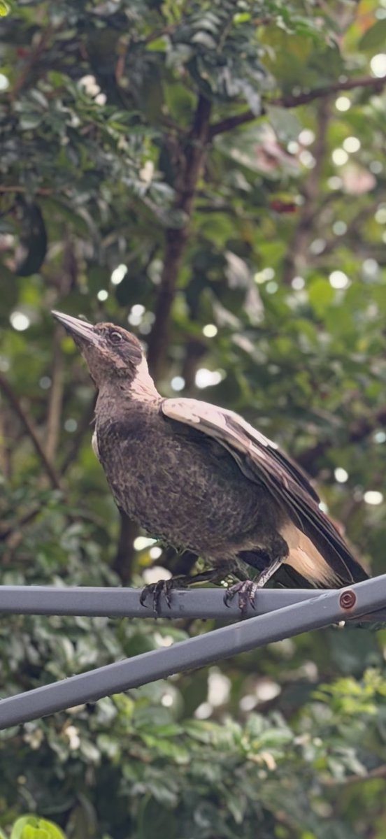 FaithSonshyne tweet media