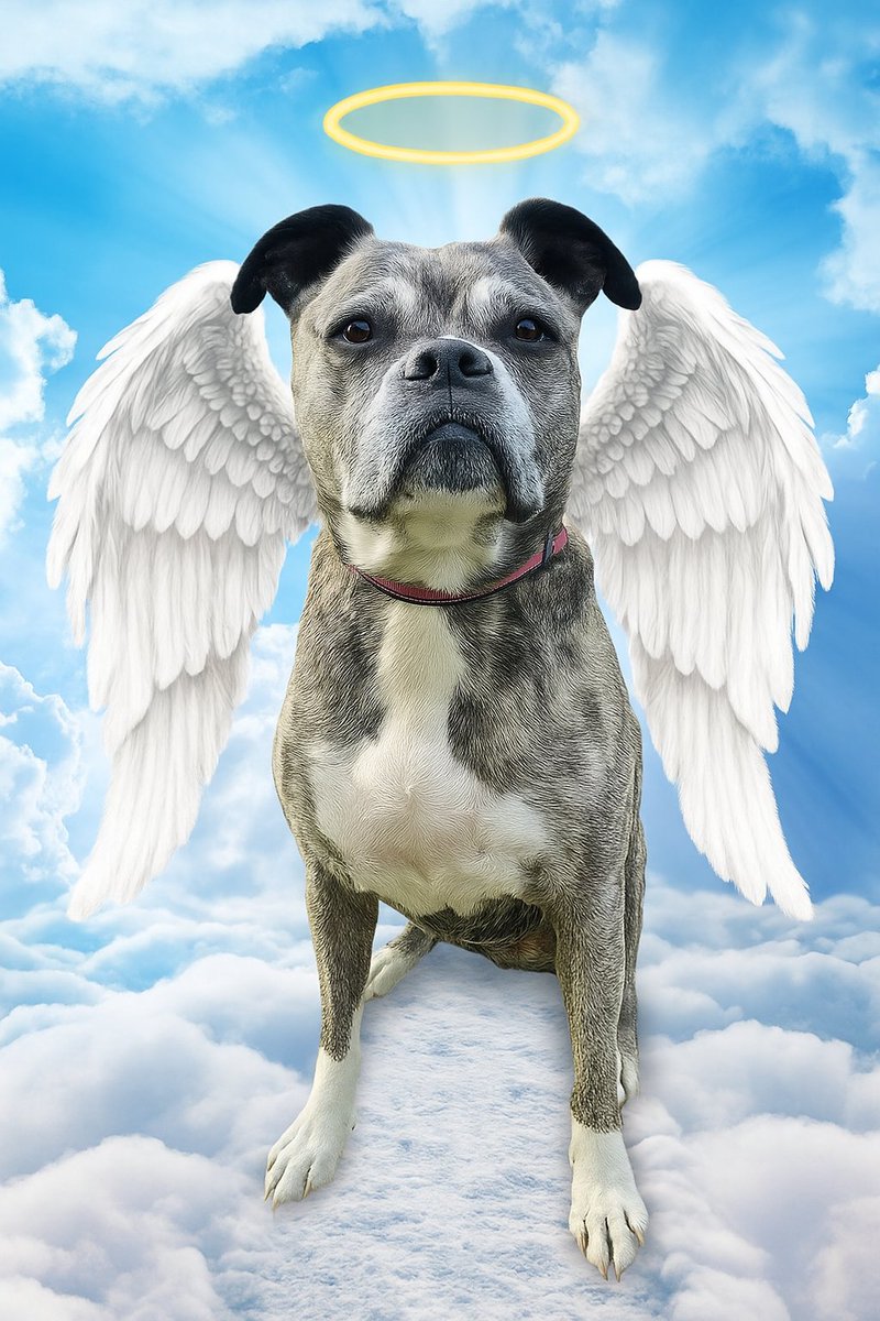 Lola 🌈 💔 21/07/25 💔🌈 tweet media