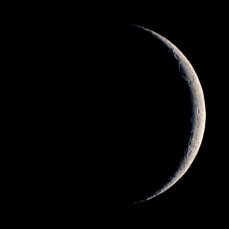 My Moon Phase tweet media