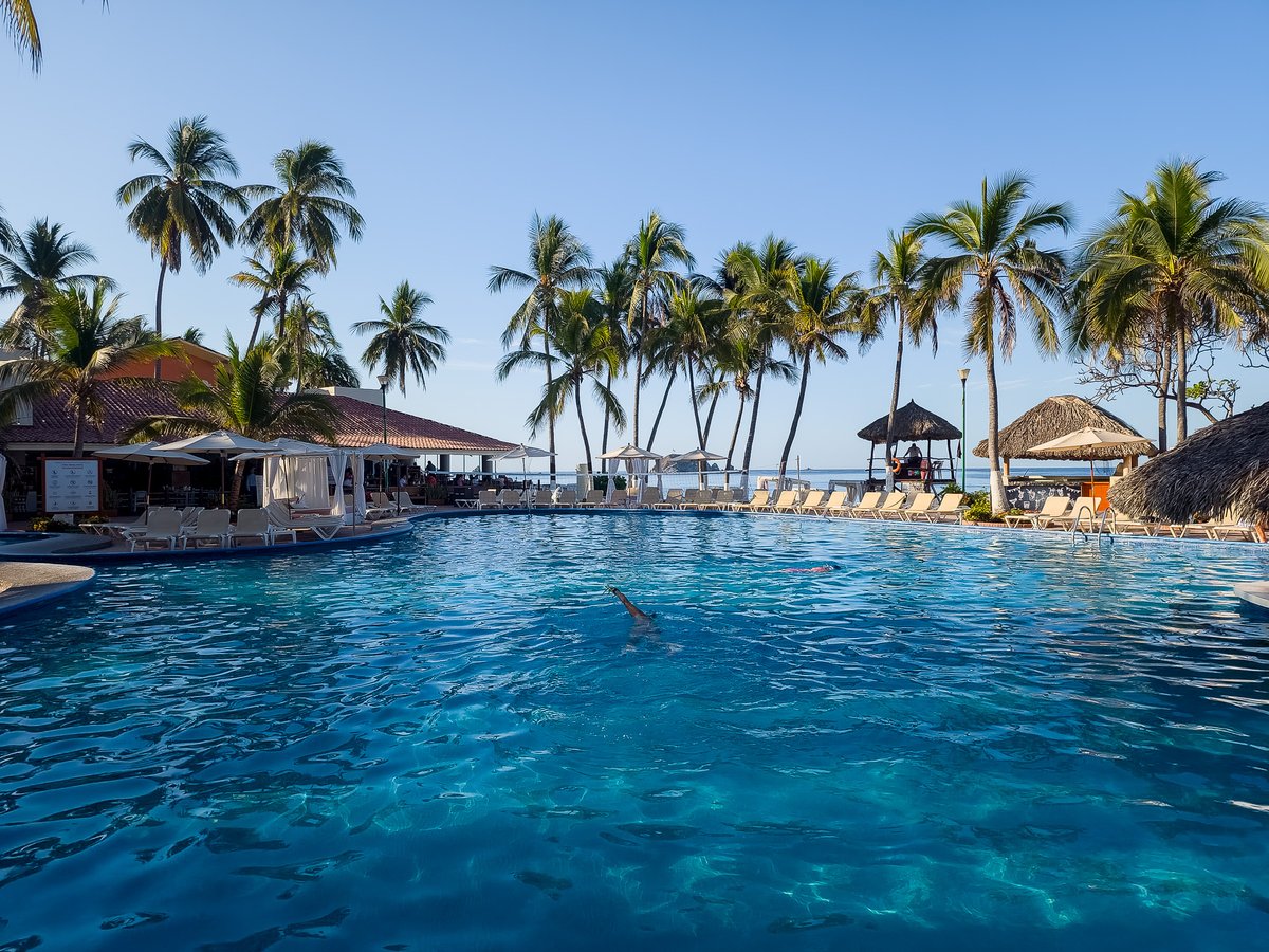 AMHIZ Hoteles Ixtapa Zihuatanejo tweet media