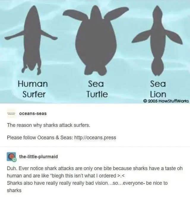 Internet Slop tweet media