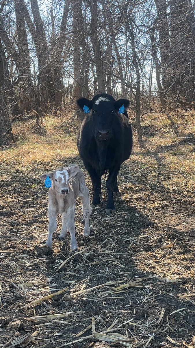 Brady Weinman🌽 tweet media