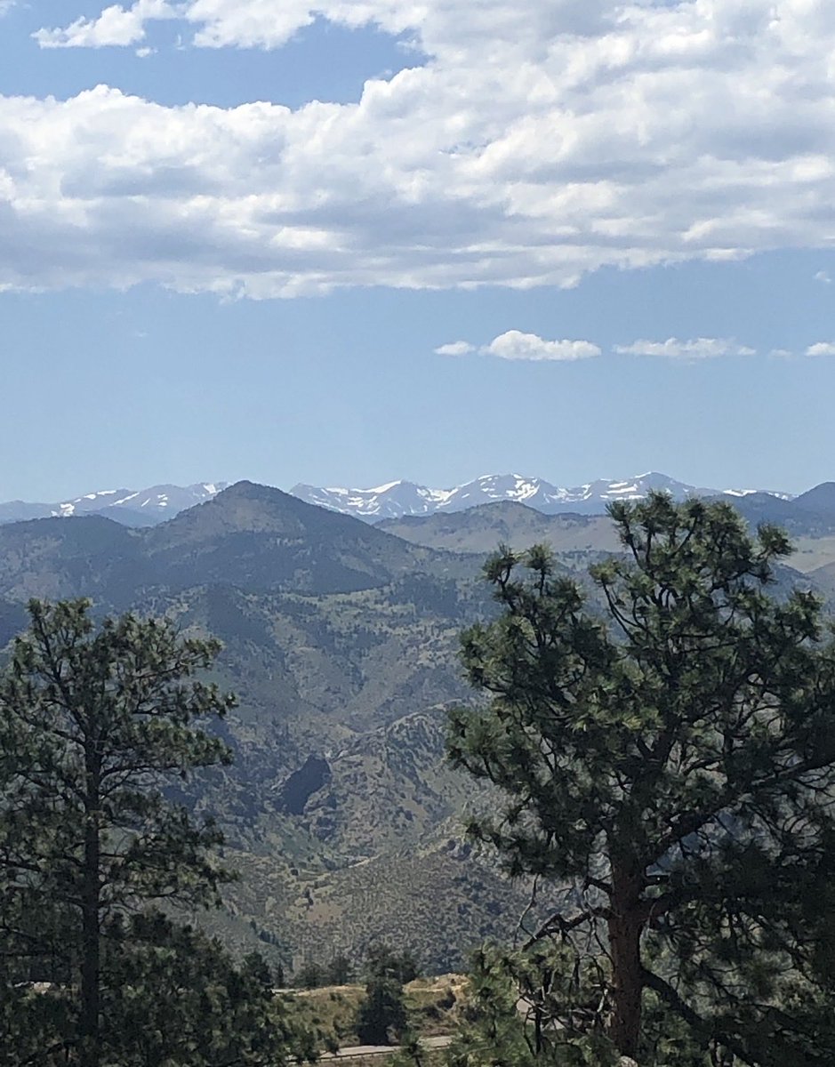 Deadwood Marshal tweet media