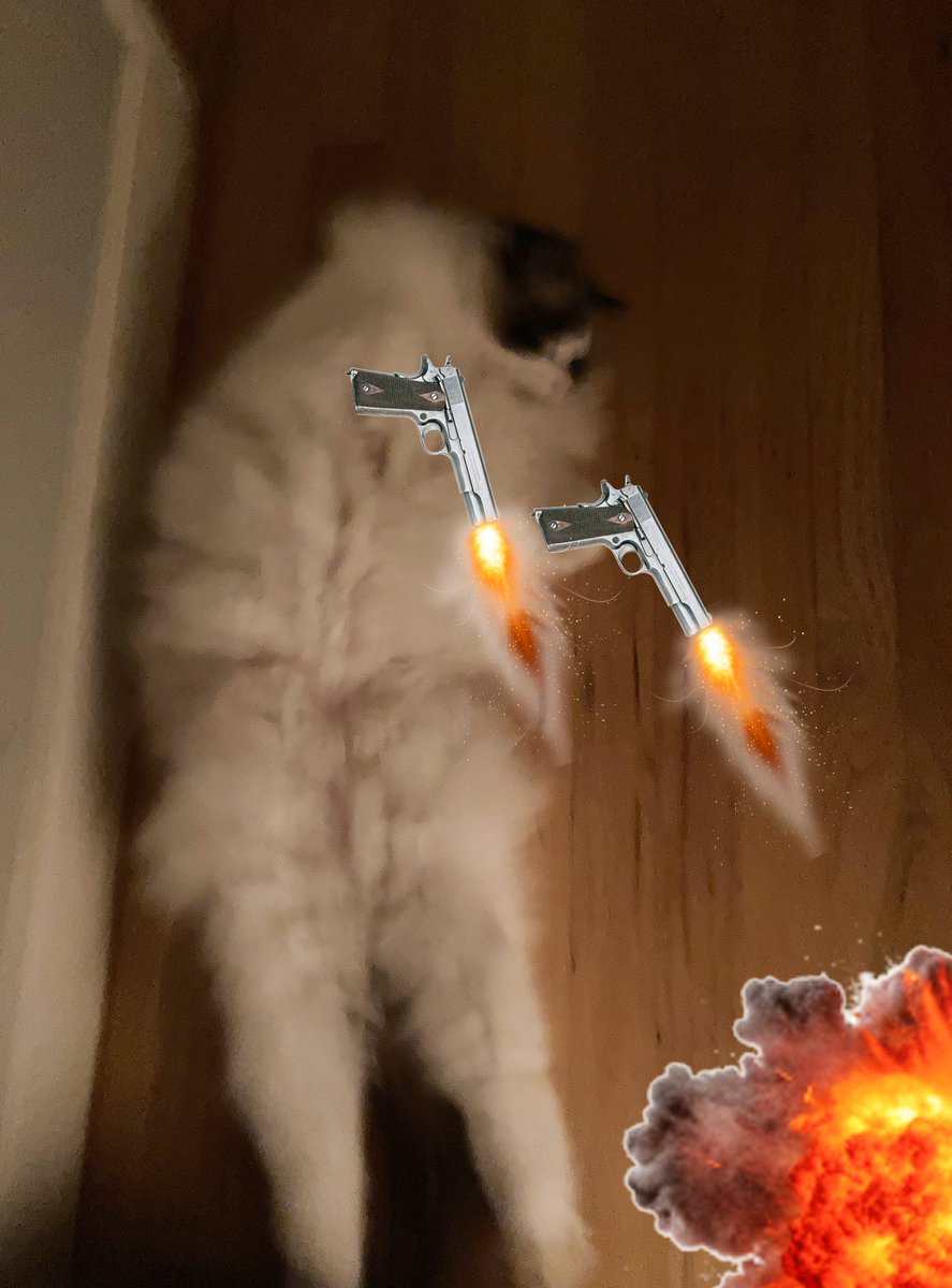 dustice nogilny tweet media