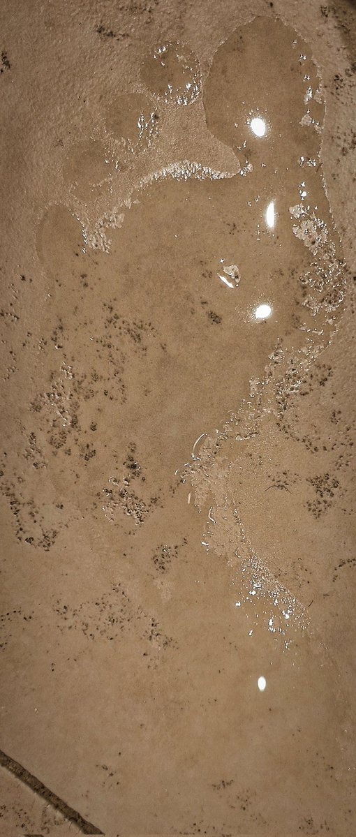 Francesca Belli tweet media