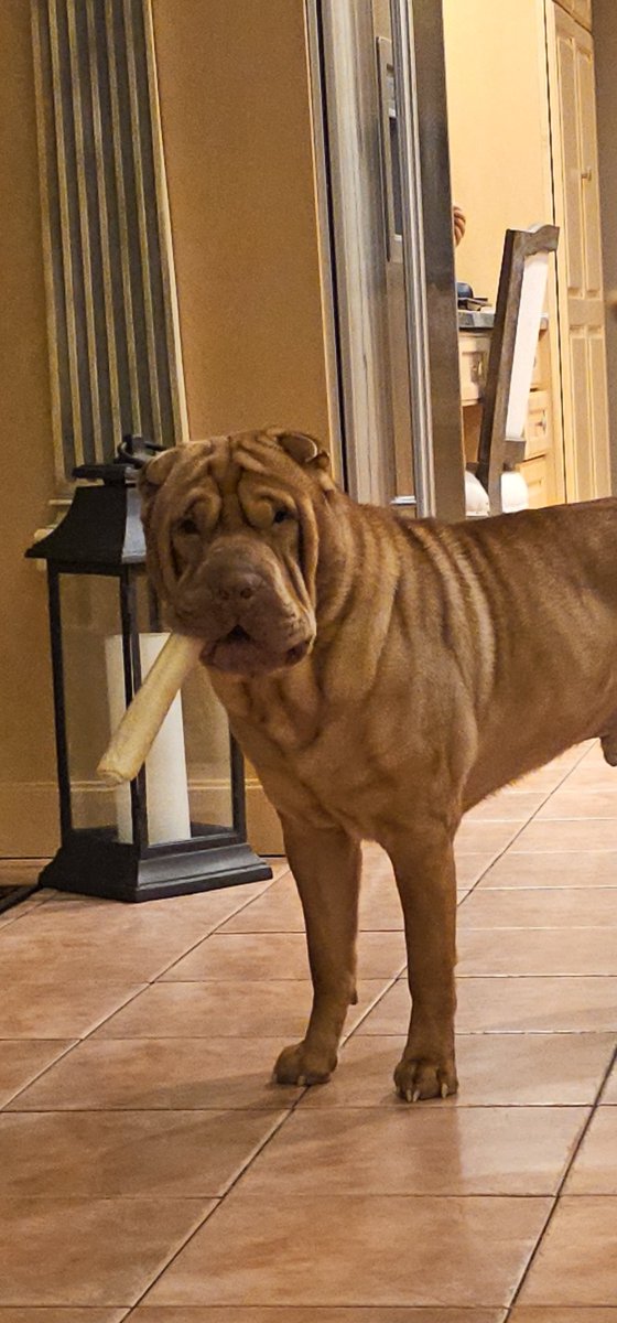 Orazio 🇺🇸 🇮🇲 tweet media