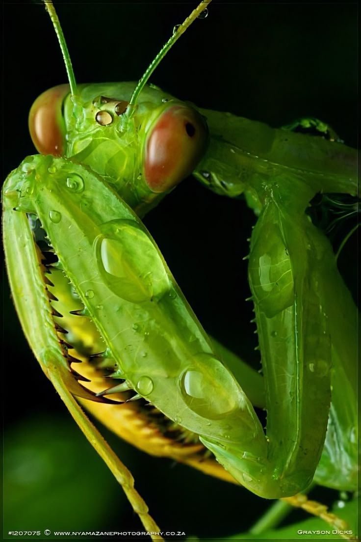 alenfischer✙ tweet media