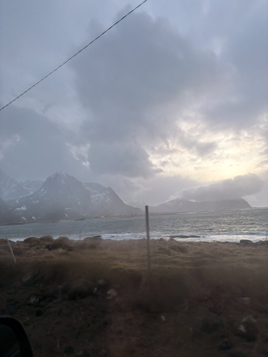 Simon🌱🇳🇴 tweet media