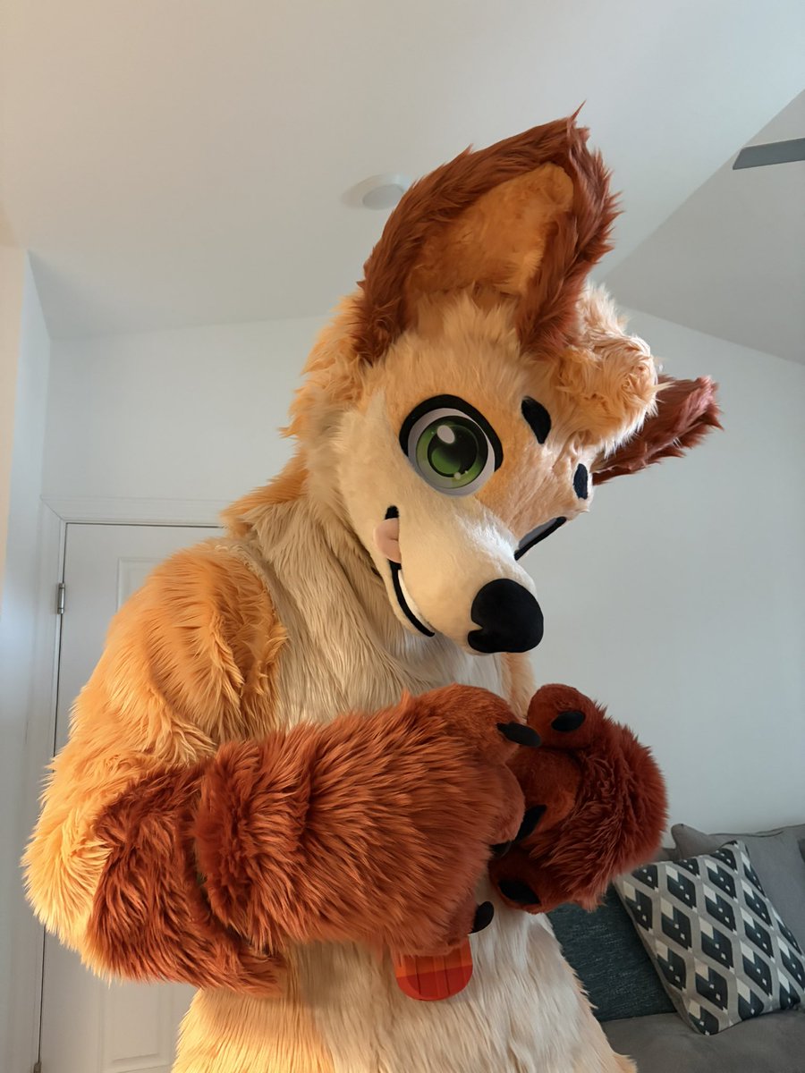 LeggyBeans🔜BWS tweet media