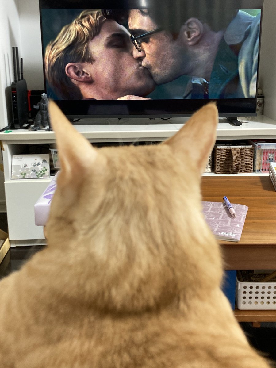 クルクルパー＝アヴダビ（アヴ式の片割れ） tweet media