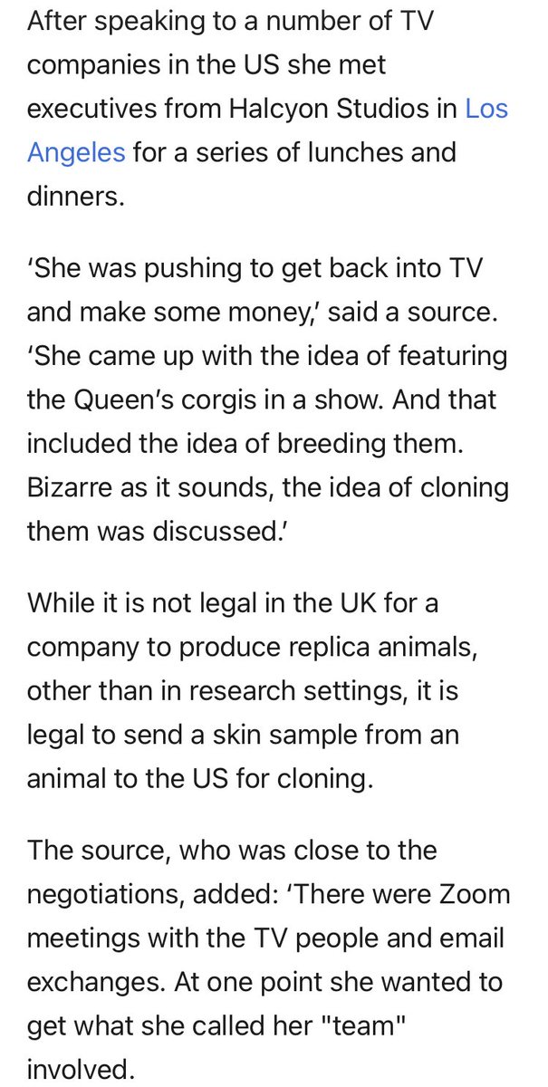 Panqueque Real 🥞 tweet media