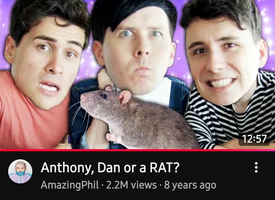 mieke IS SEEING CONAN GRAY tweet media