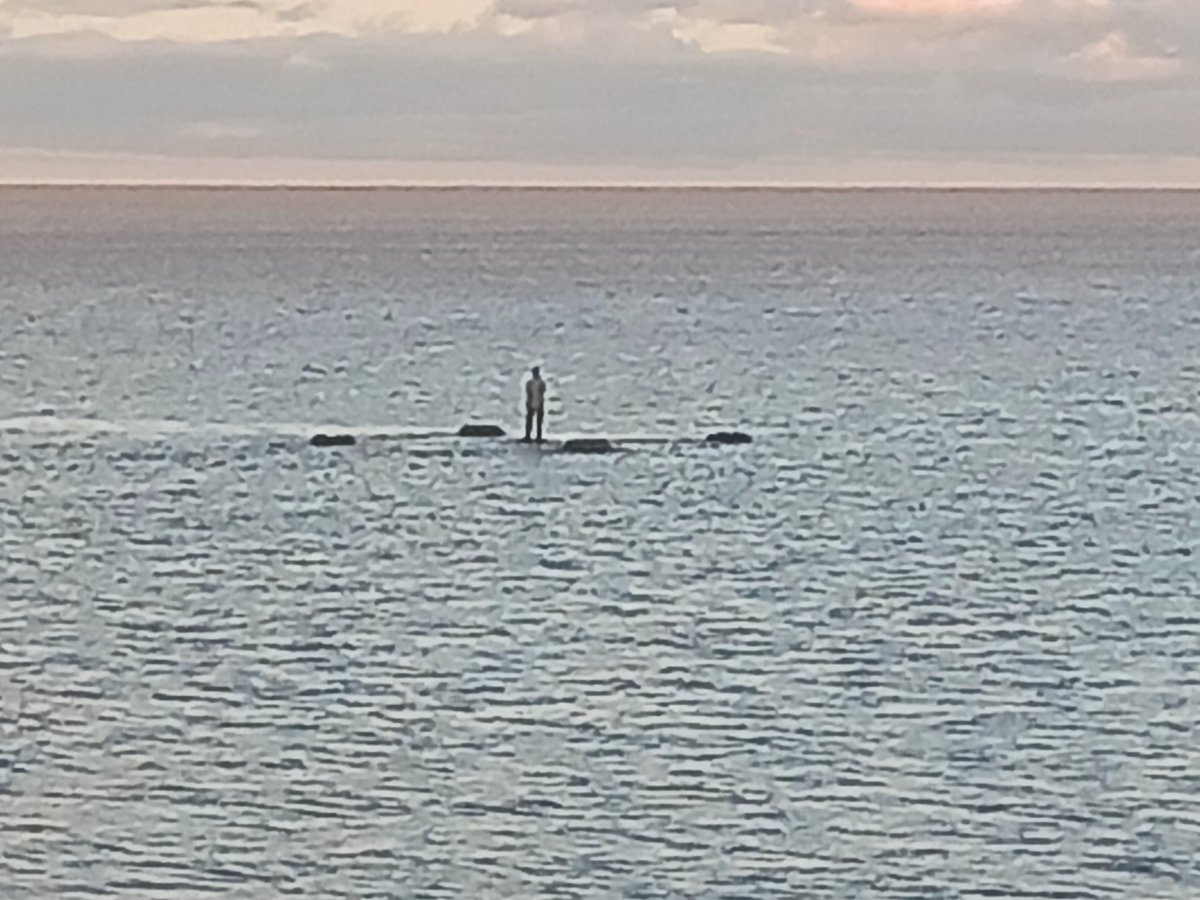 Sebastián Soler tweet media