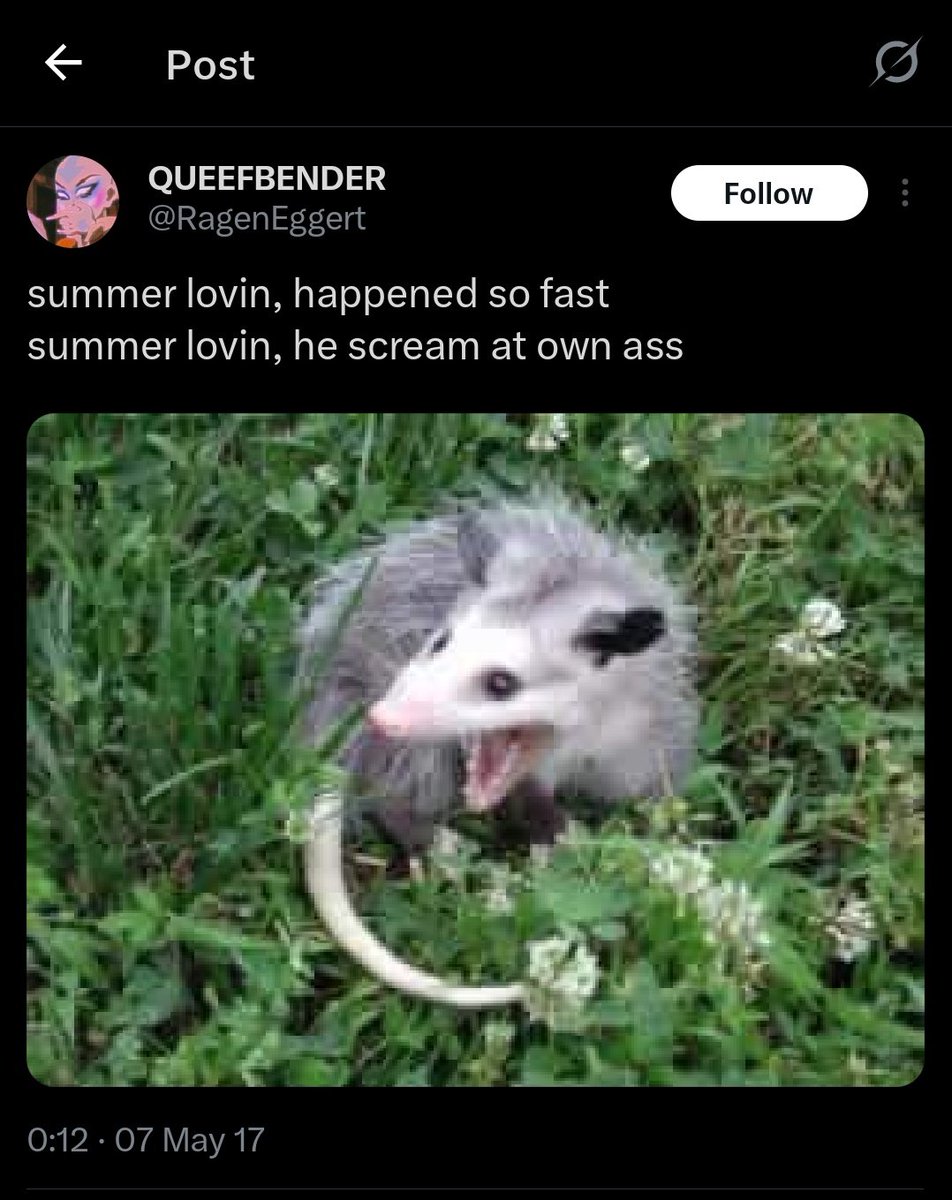 rebelnightwolfe.bsky.social tweet media