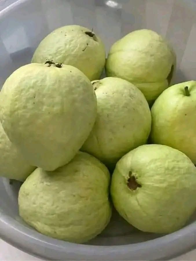 Sylver Big tweet media