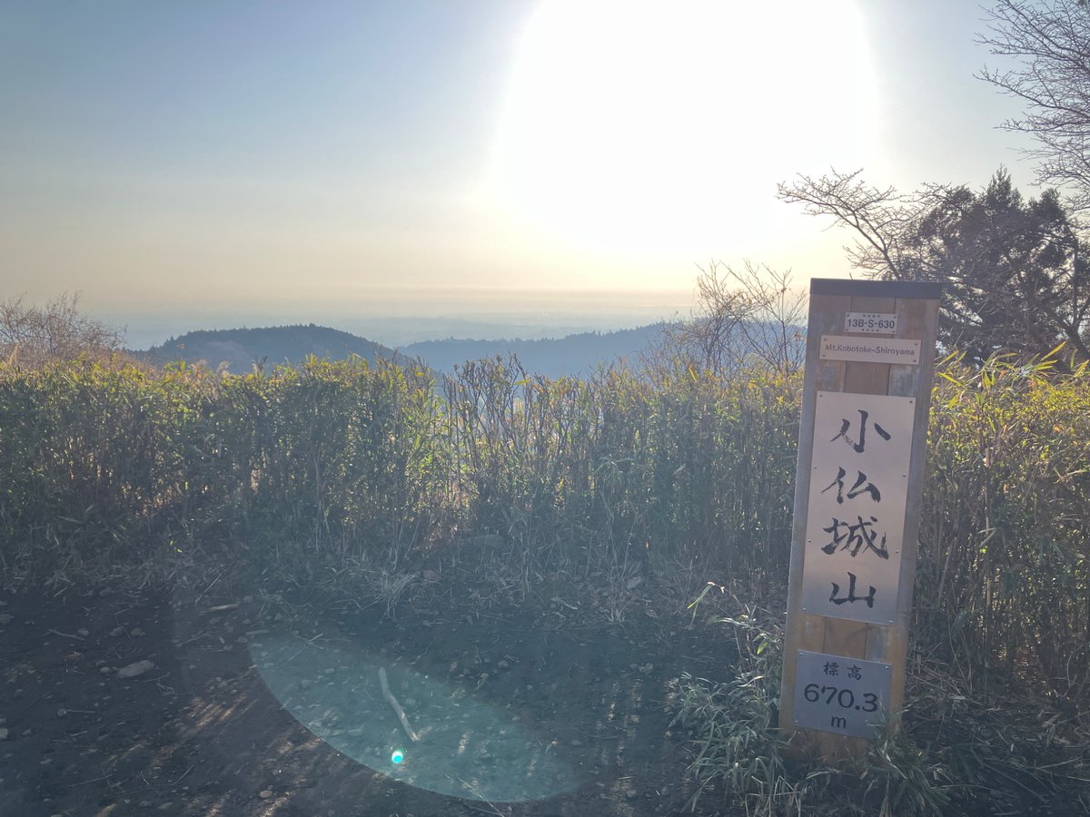 watti(わっち) tweet media