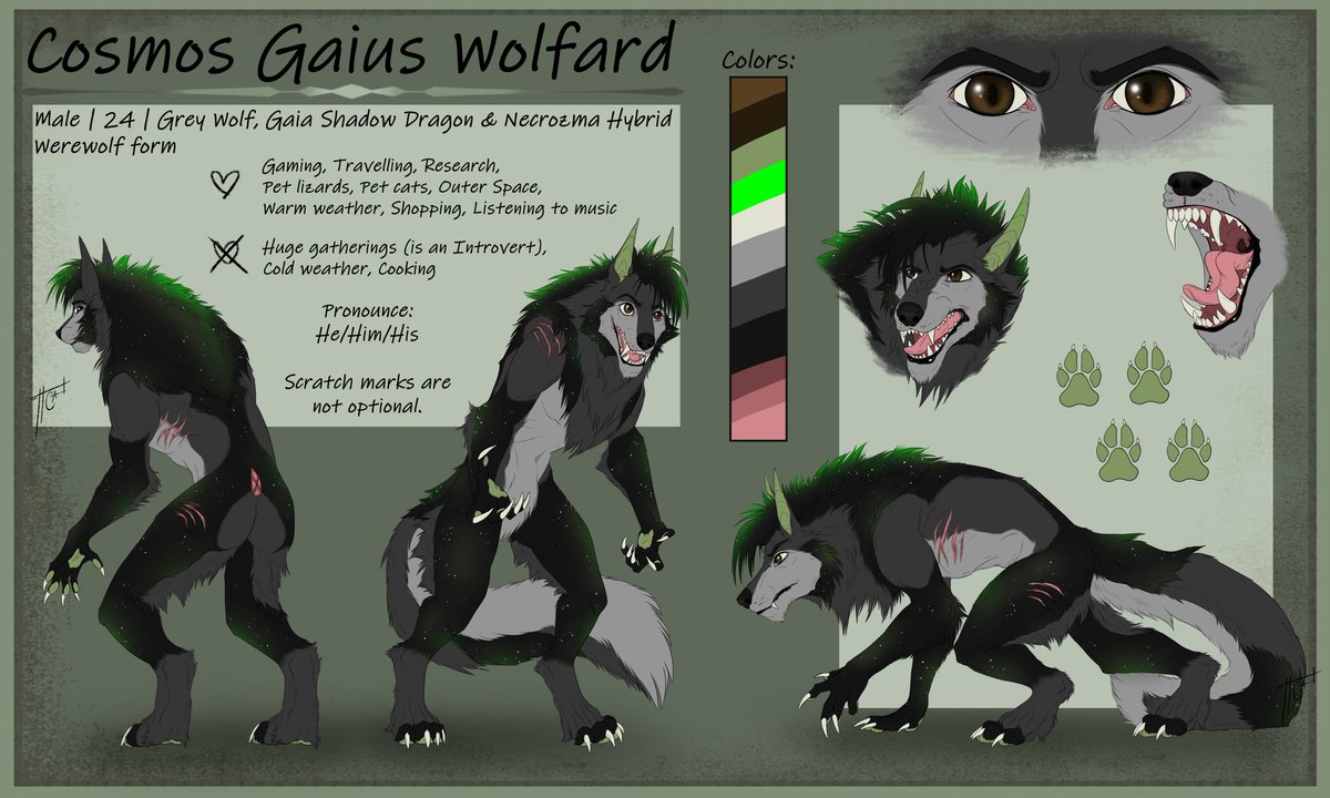 CosmosWolfAlpha's tweet photo. New ref sheet of Cosmos, but this time in his Werewolf Form! 🐺🌕Done by ColourenArt on Bluesky. https://t.co/LmWVqiNEny