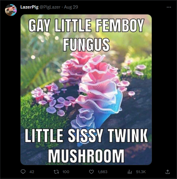 OilOnCanvas tweet media