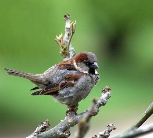 Cihan FULSER tweet media