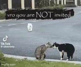 Sub doggo tweet media