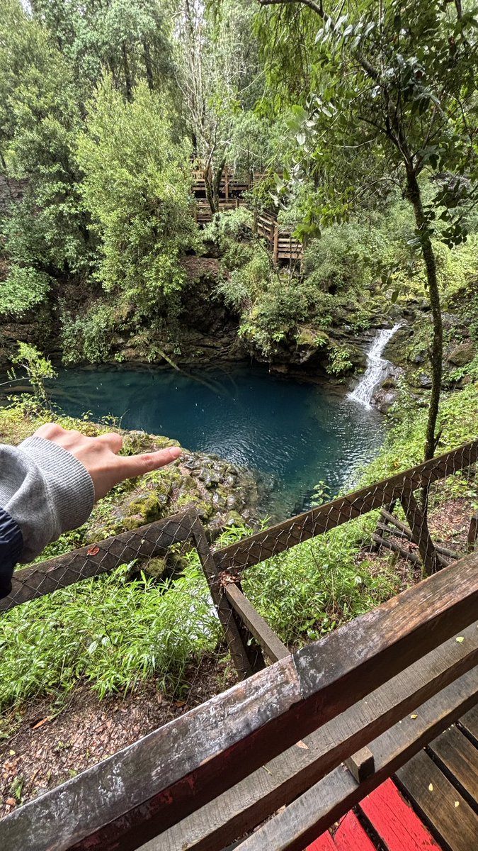María Olvidos. tweet media