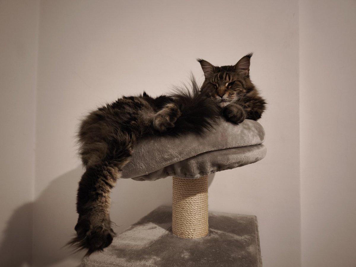 Duxtro 🔥 tweet media