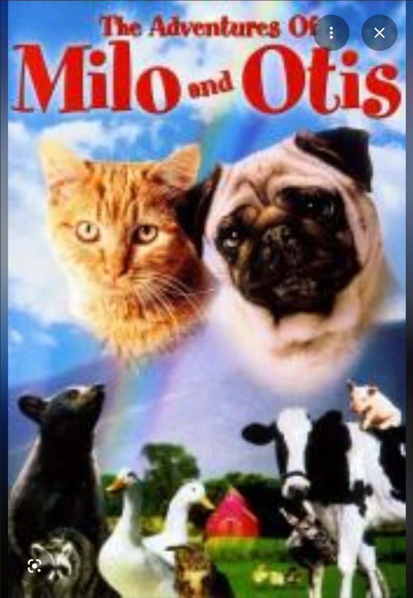 Billy 🚜 tweet media