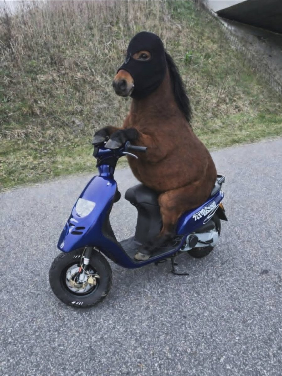 ˚.◜carꙨ ◟☆ tweet media