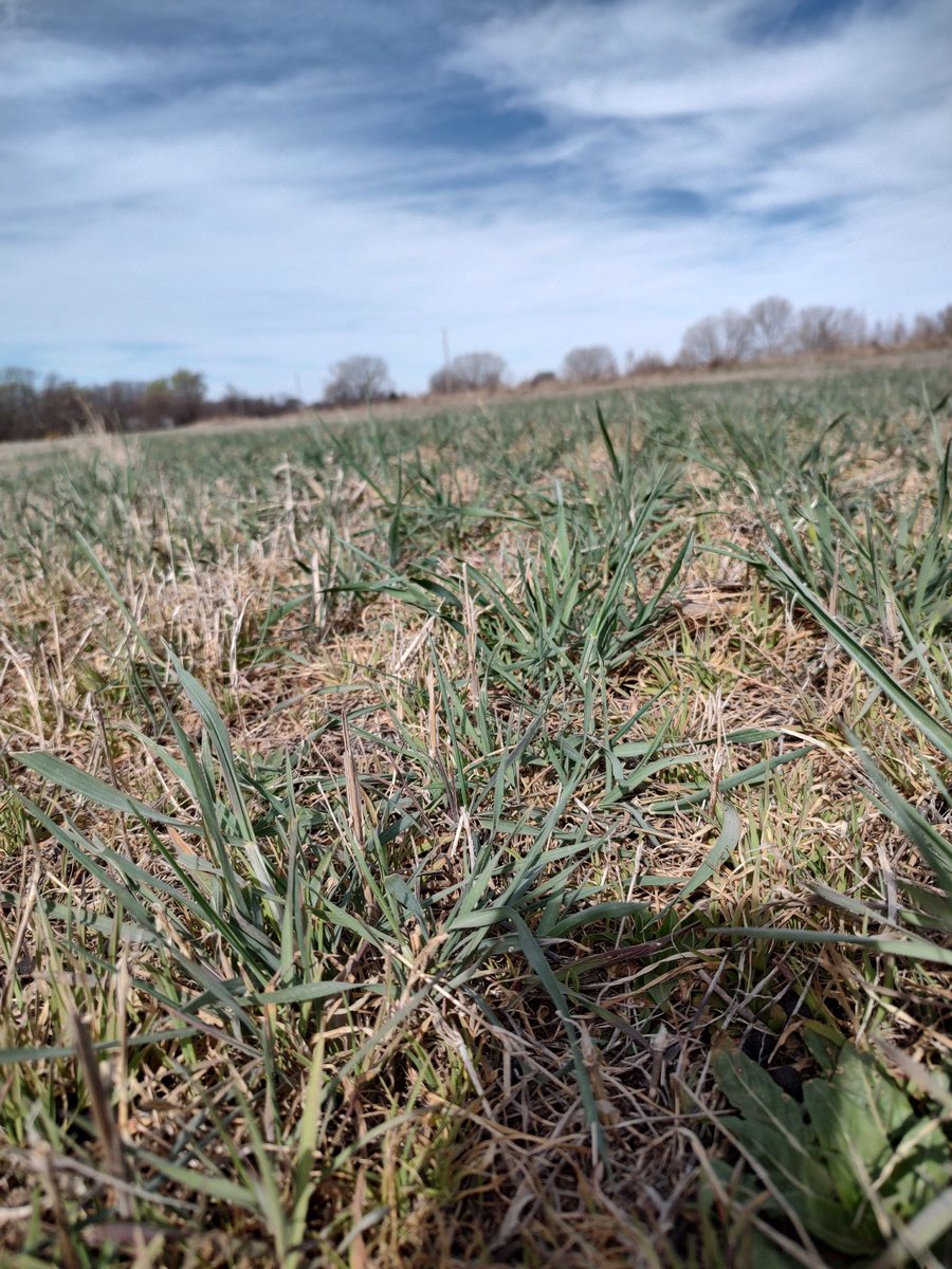 Aaron Sawyers tweet media