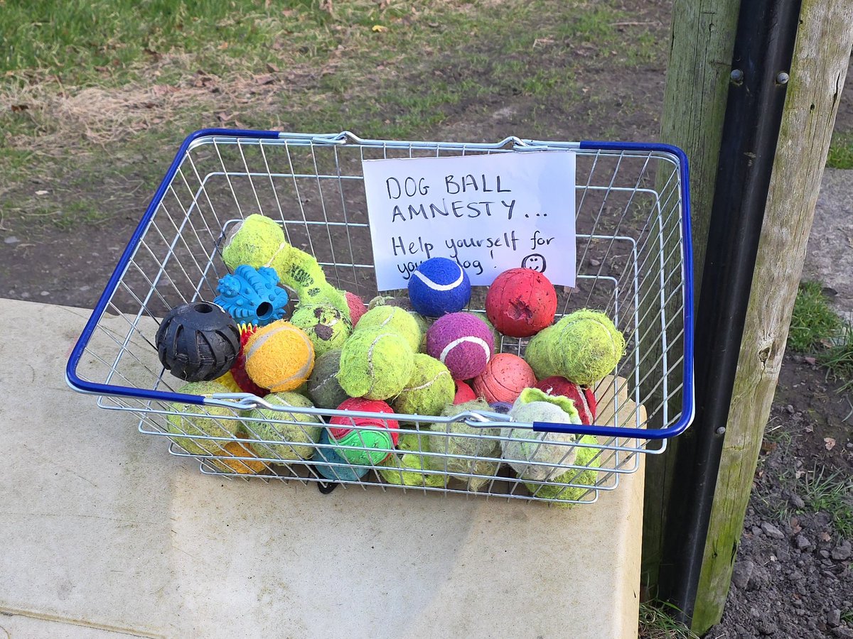 Stuart Cowper tweet media