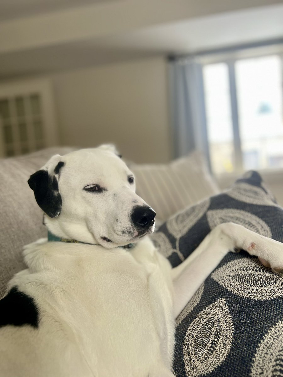 Kevin Lamacraft tweet media