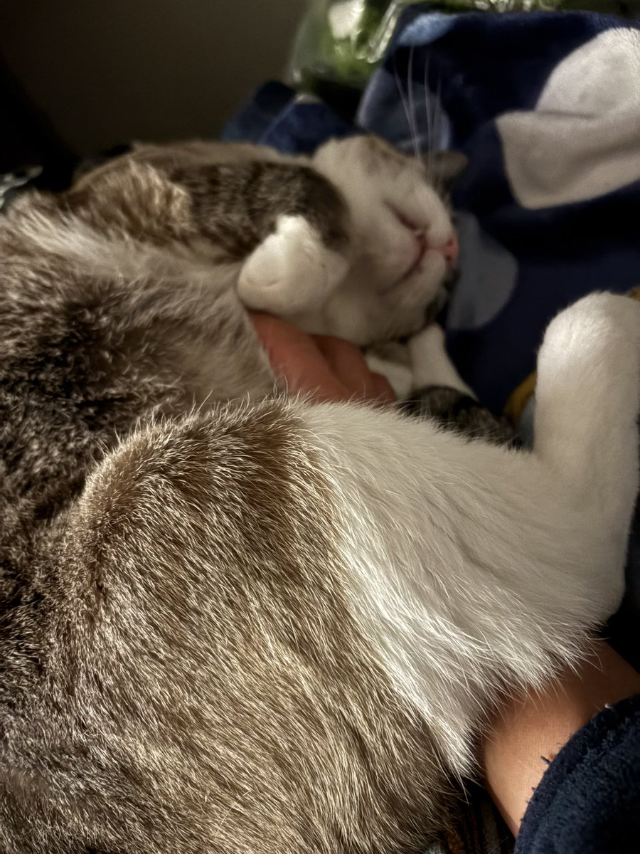 ずんた★もっち tweet media