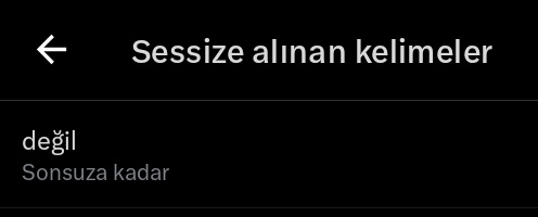 bir şeyler deniyorum