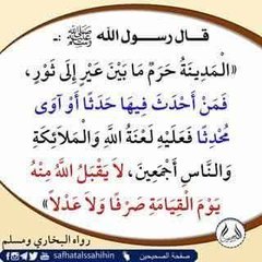 معاوية الخطيب 🇸🇾 tweet media