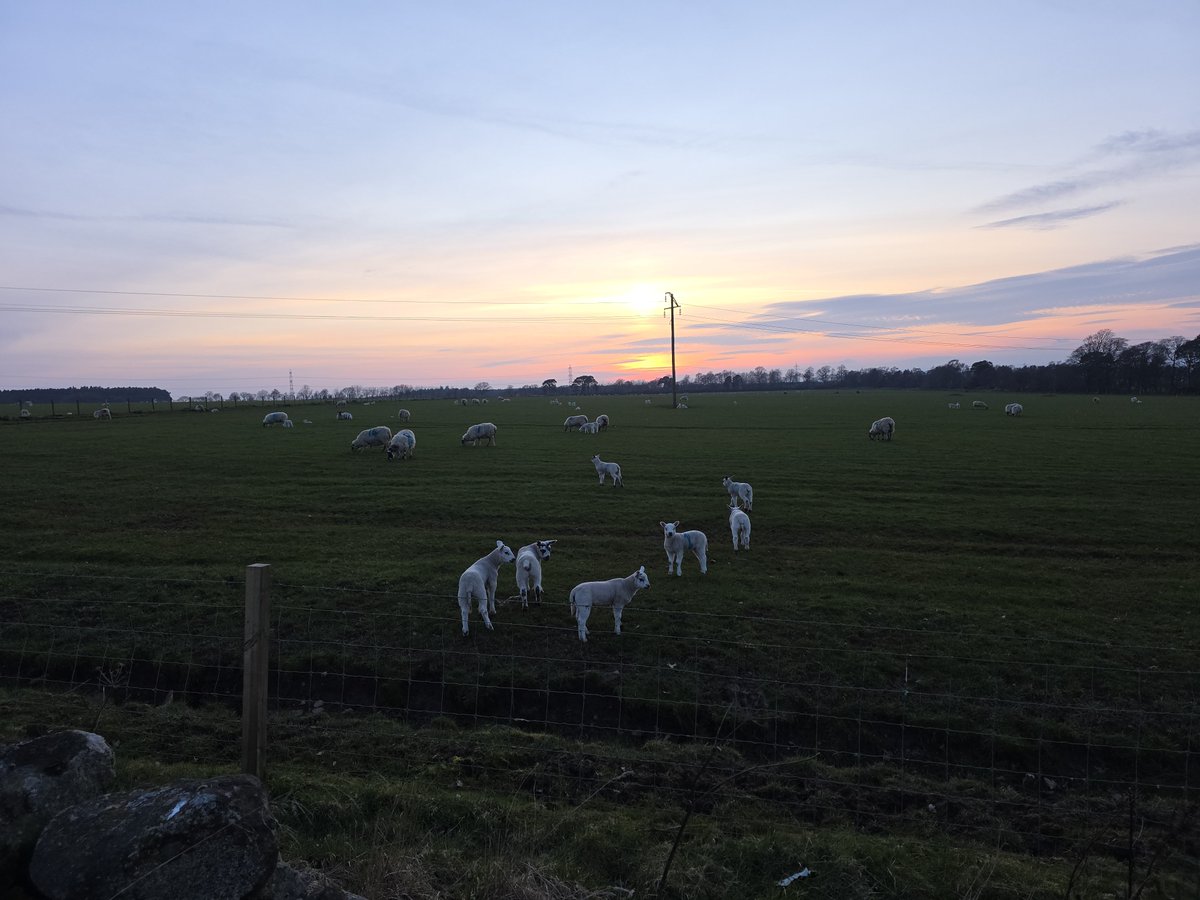 Stuart Cowper tweet media