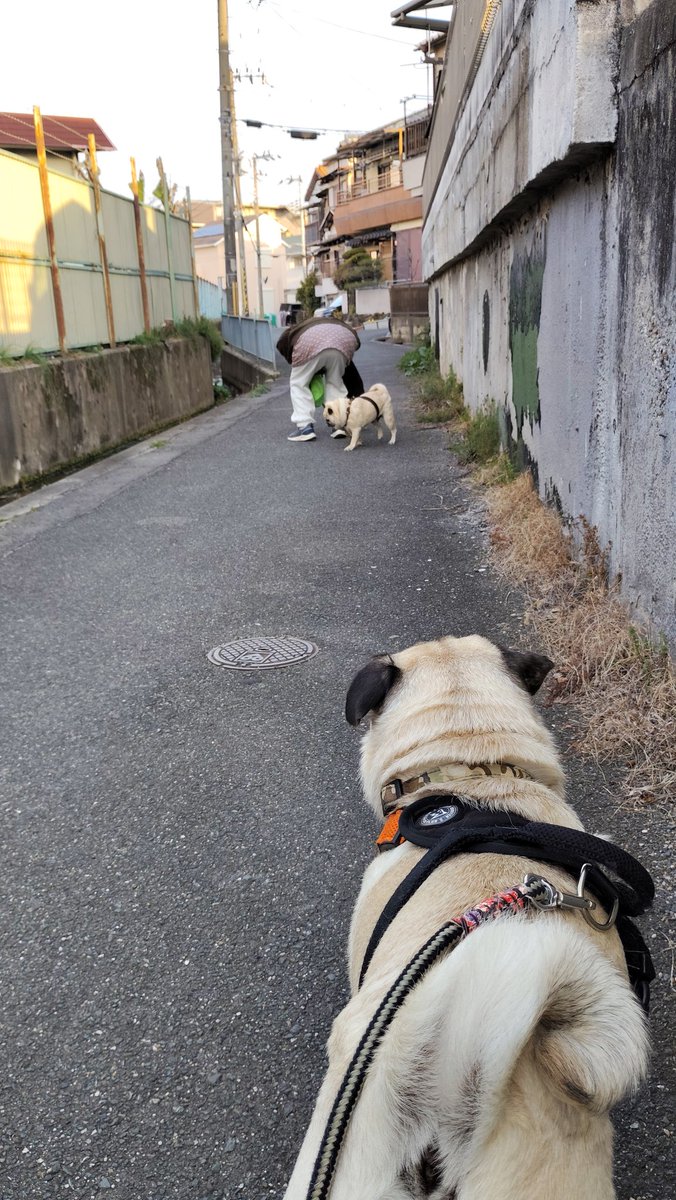 いんでぃ tweet media