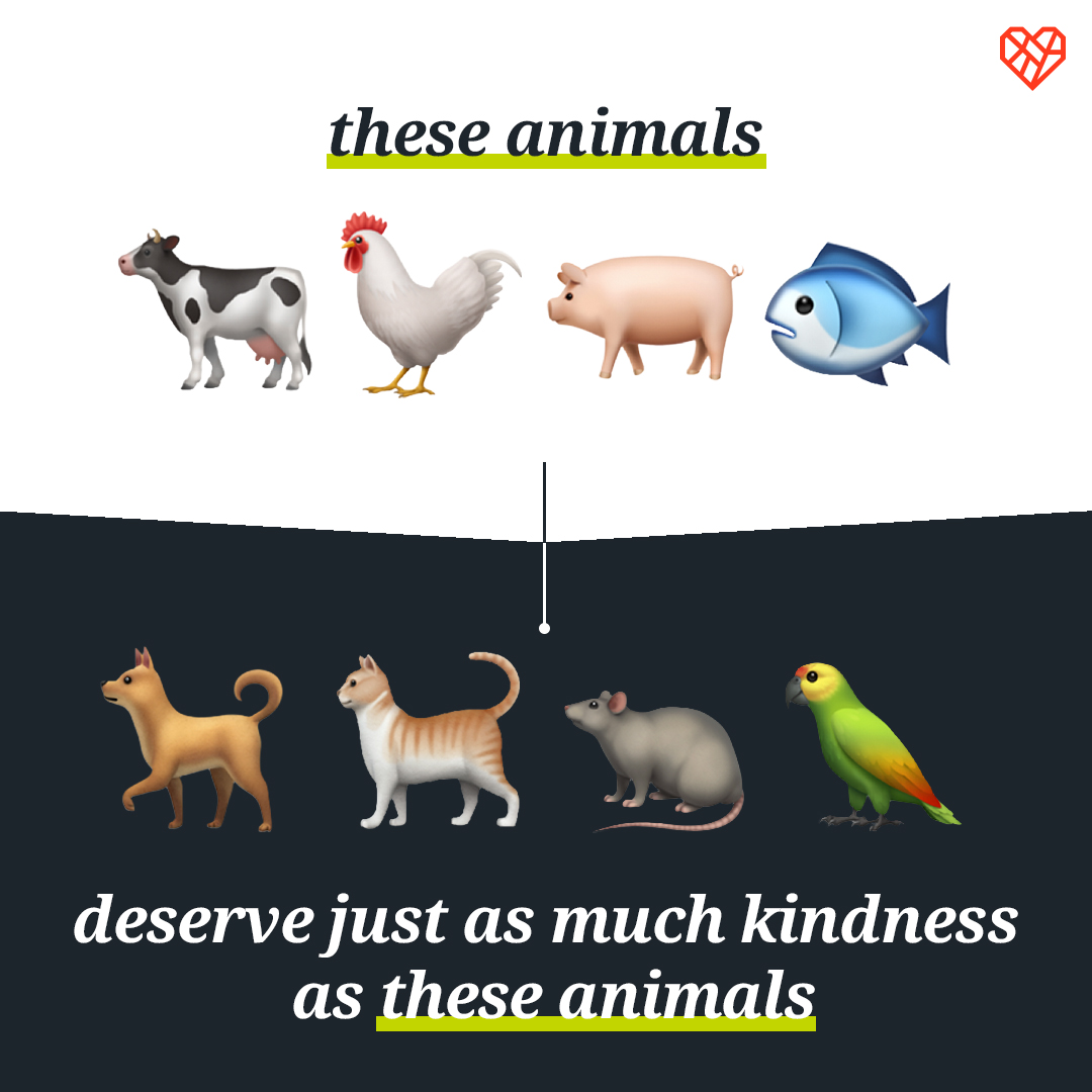 The Humane League tweet media