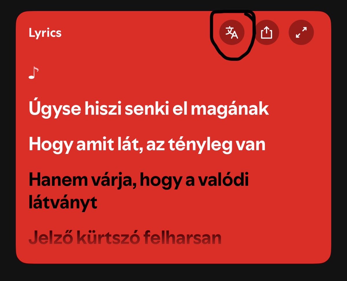 betyárromantika tweet media