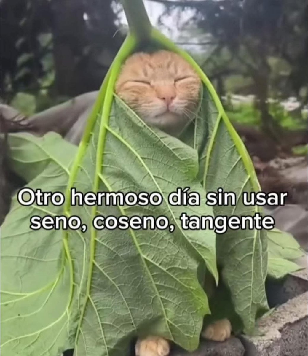 Animalitos en aprietos. tweet media