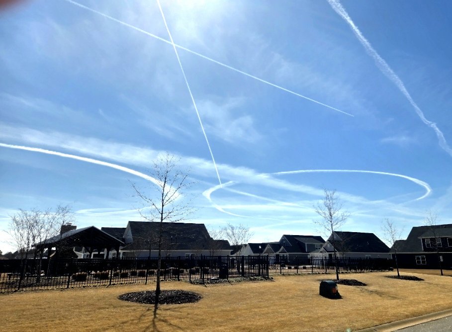 DJTAlways (Cat J) tweet media