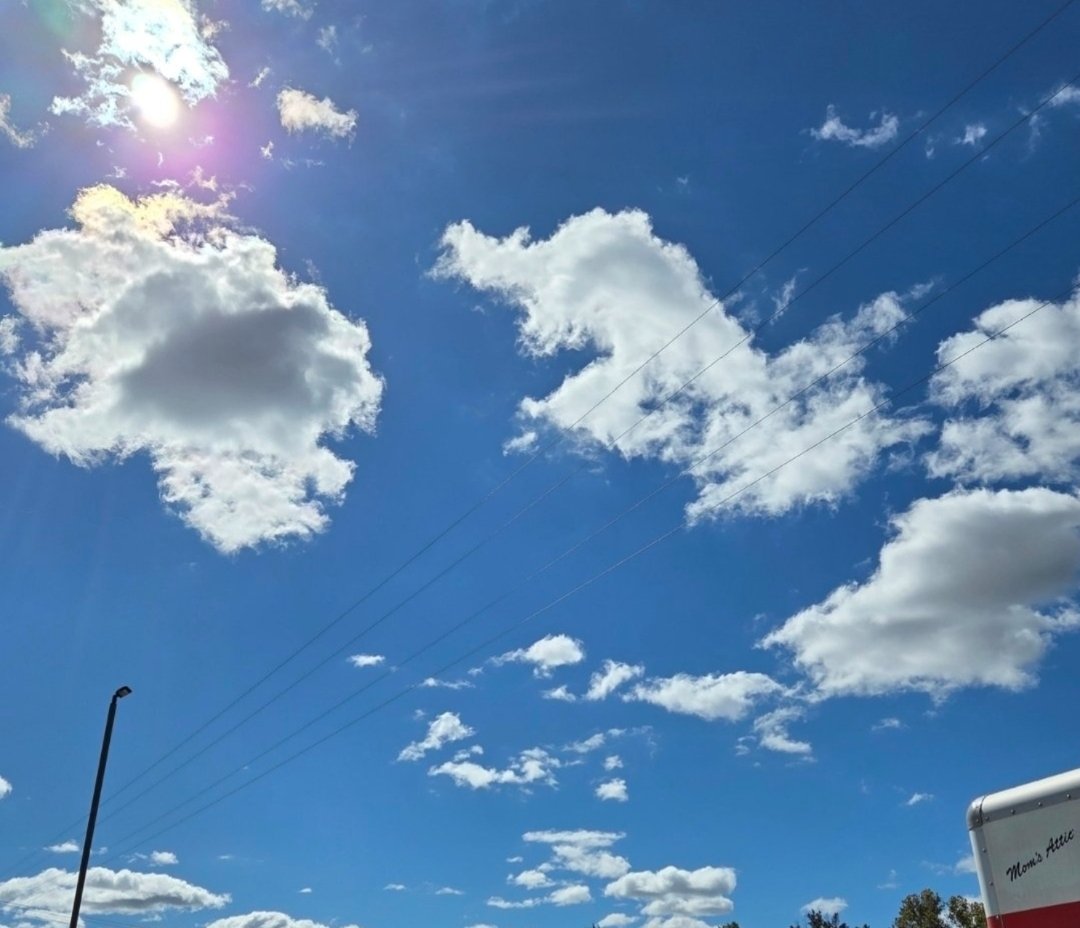 DJTAlways (Cat J) tweet media