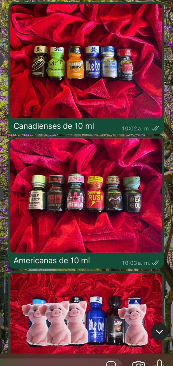 RoomieGayGt tweet media