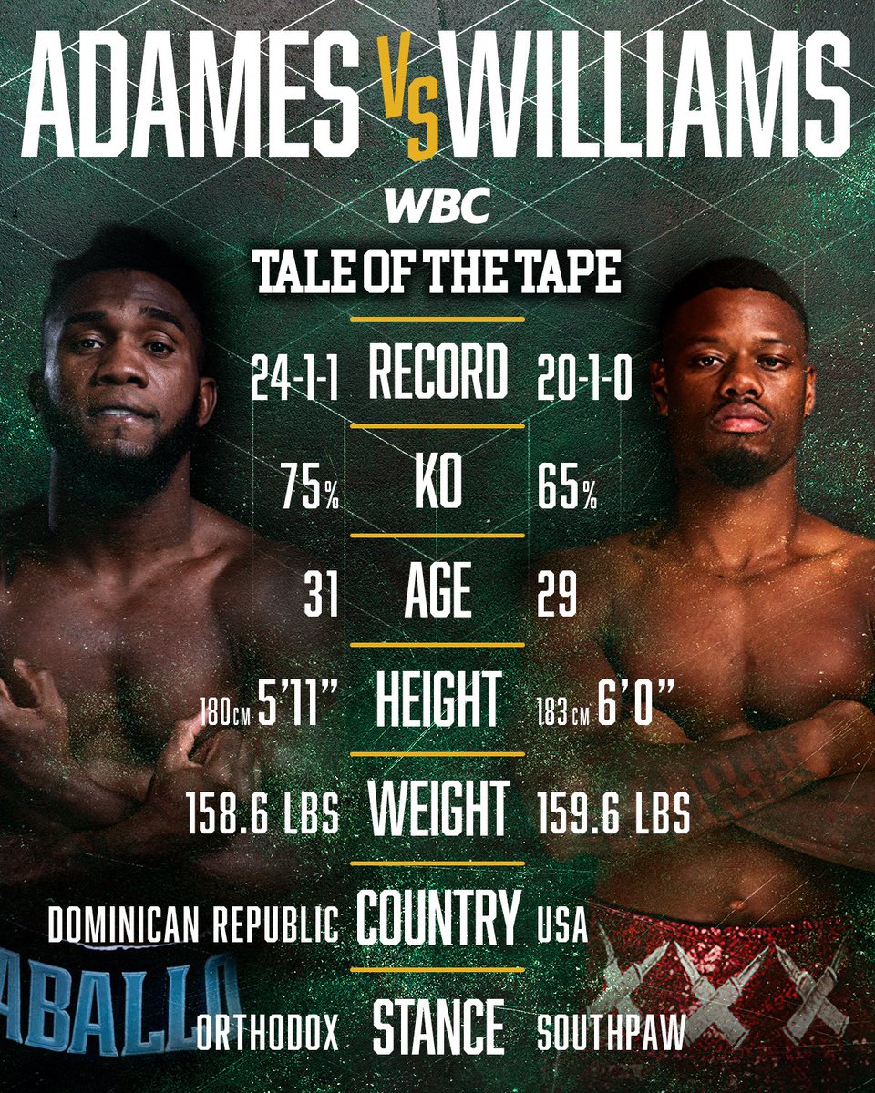 World Boxing Council tweet media