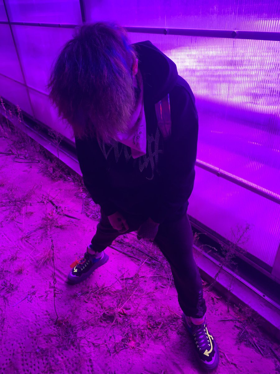 Rare Phantom tweet media