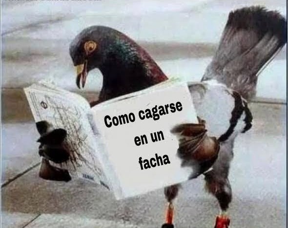 Miren Gurutxe 🌹🌹🌹🇵🇸 tweet media